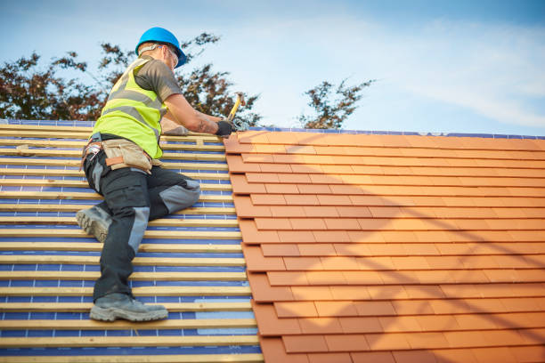 Best Roof Moss and Algae Removal  in Chandler, OK